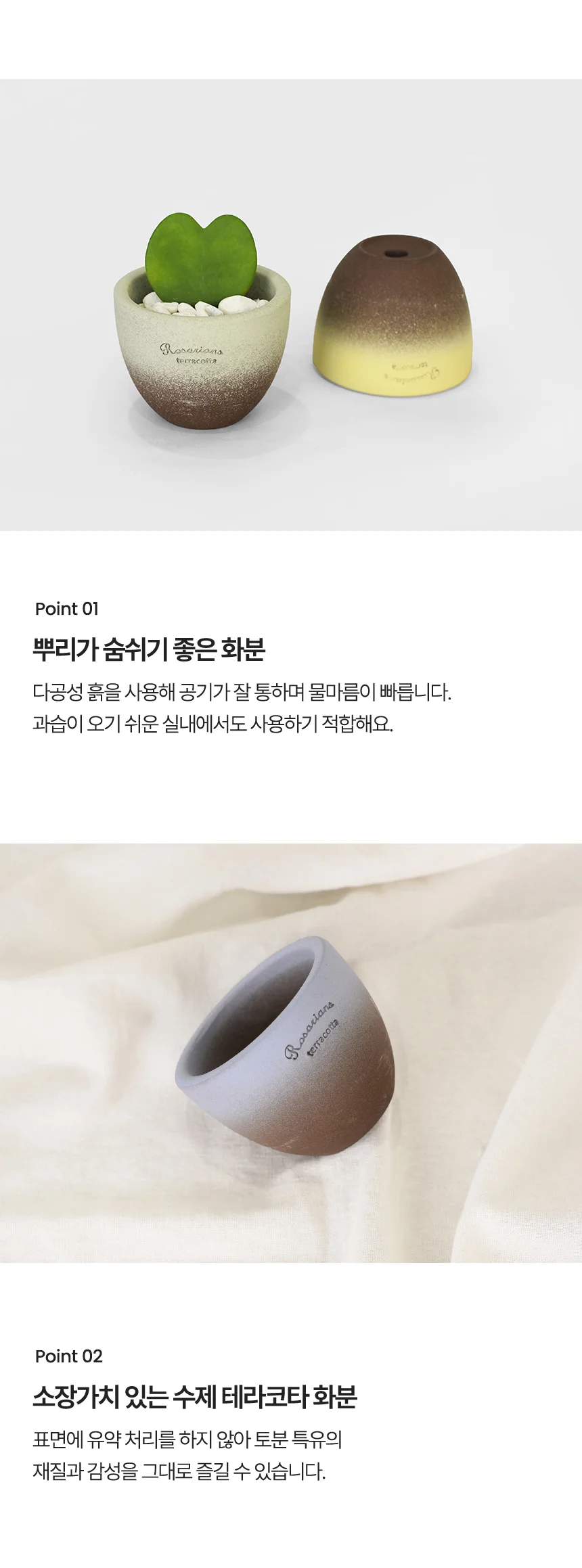 로자리안 컬러 미니 볼팟 9호 상세4