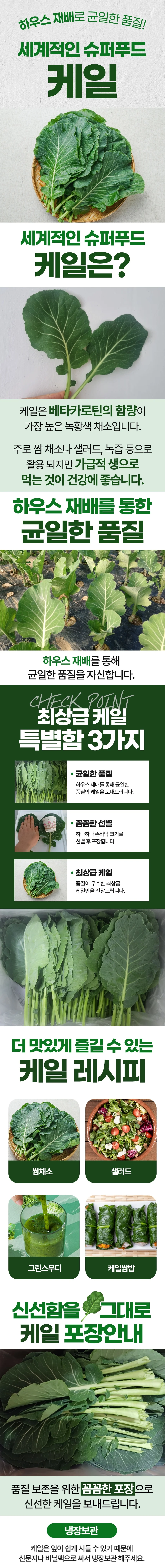 케일 1kg 쌈밥채소 채소쌈 쌈채소종류 상세1