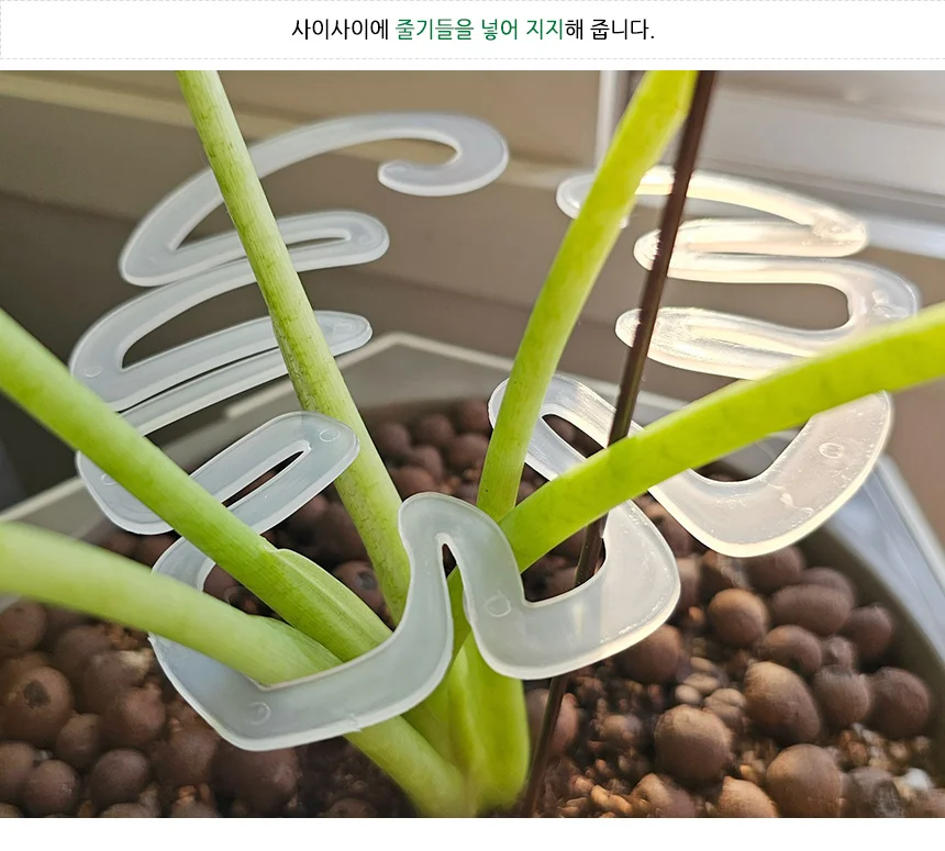 식물 줄기 지지대 고정 상세2