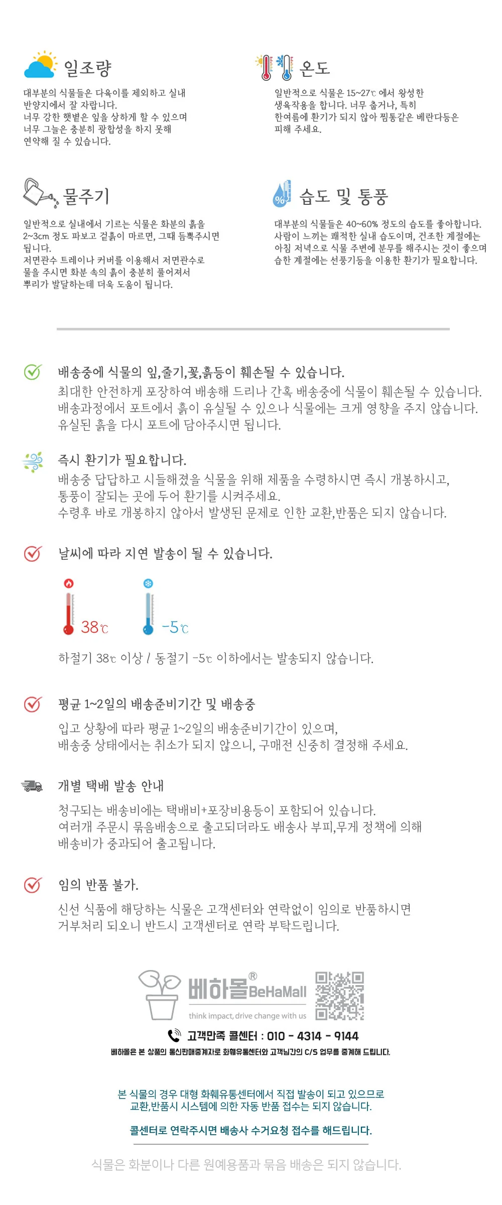 공기정화식물 거실인테리어식물 사무실화초 스노우사파이어 약35cm 상세3