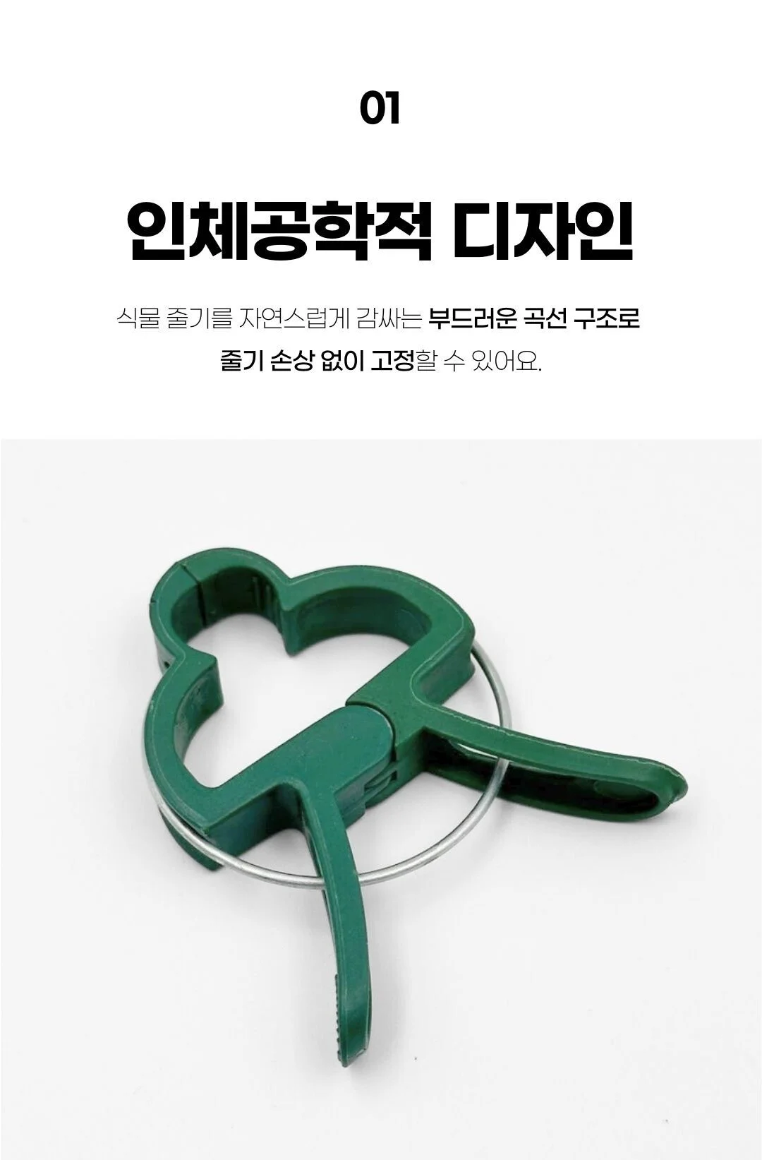 식물 고정클립 소 중 식물클립 지지대클립 상세3