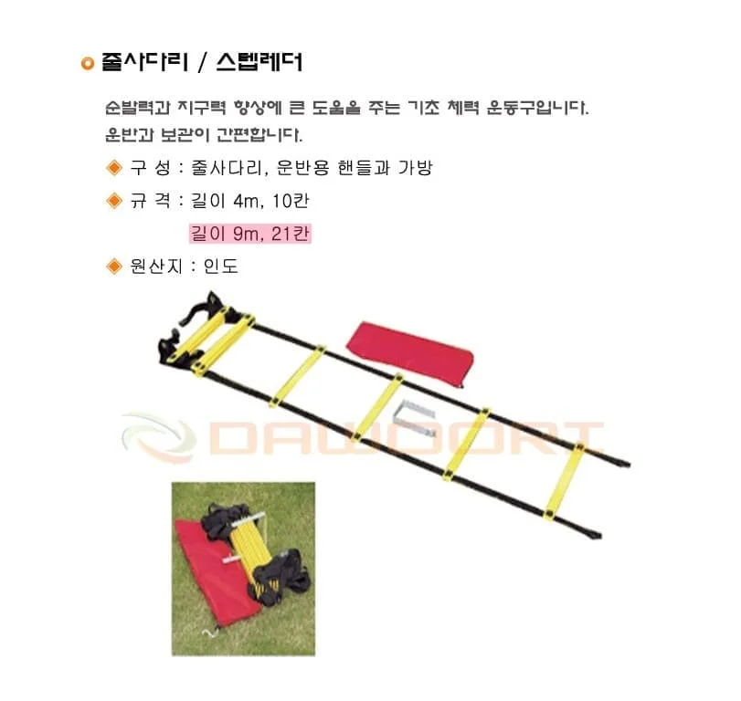 다우리 스텝 레더 축구 훈련 트레이닝 체육 사다리 9M 상세2