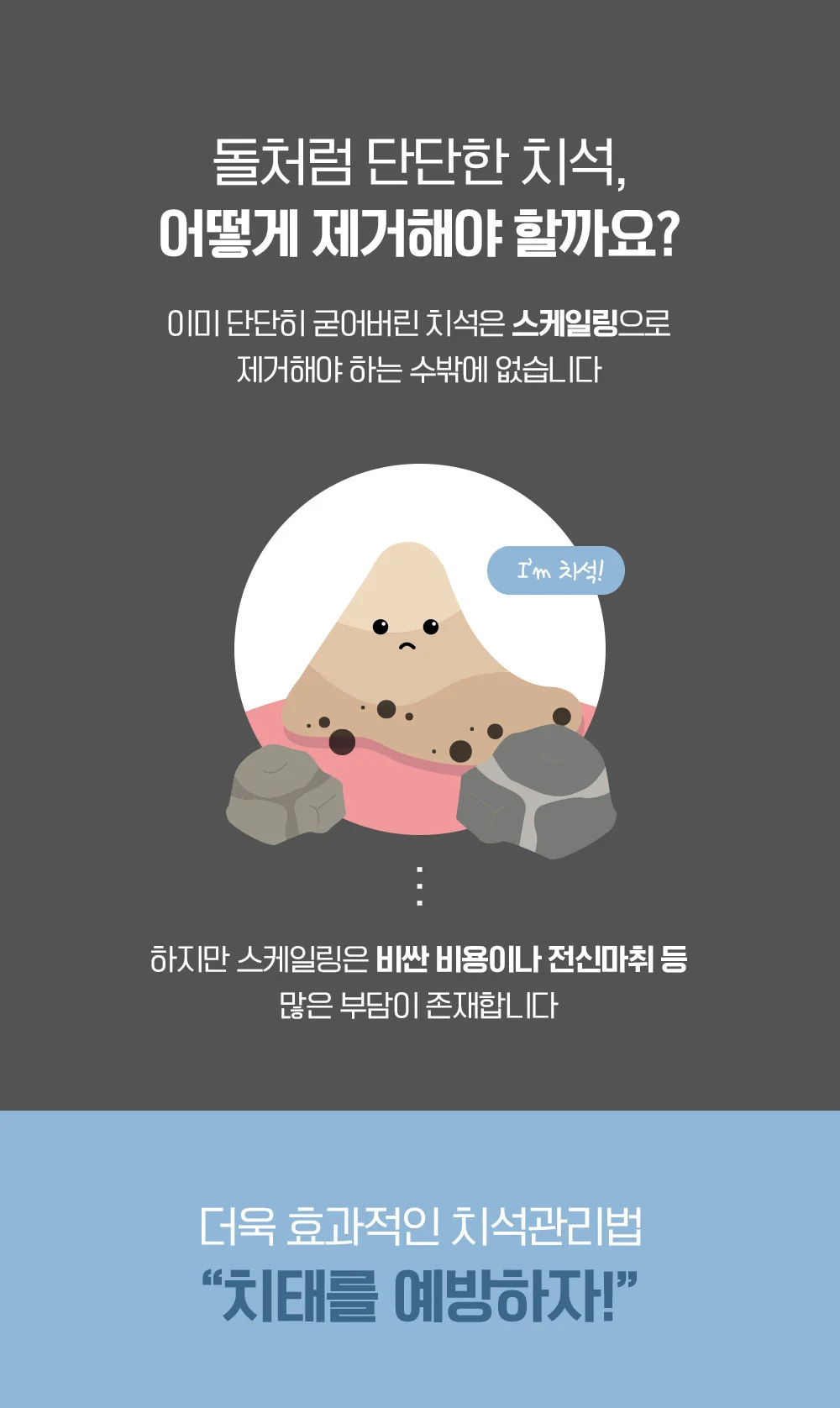 뚜또가또 초극세모 덴탈 칫솔/구강관리/클린칫솔 상세3