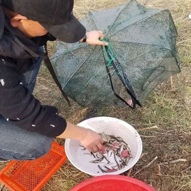 새우 낚시 민물 바다 미꾸라지 뜰채 그물 포획 도구 8구 그물망 어구