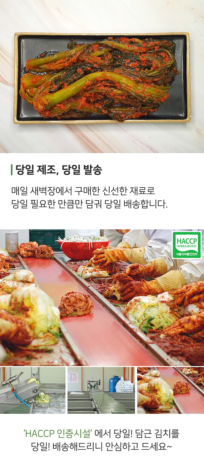 당일생산 전라도 대감 갓김치 1kg (100% 국산재료) 상세4
