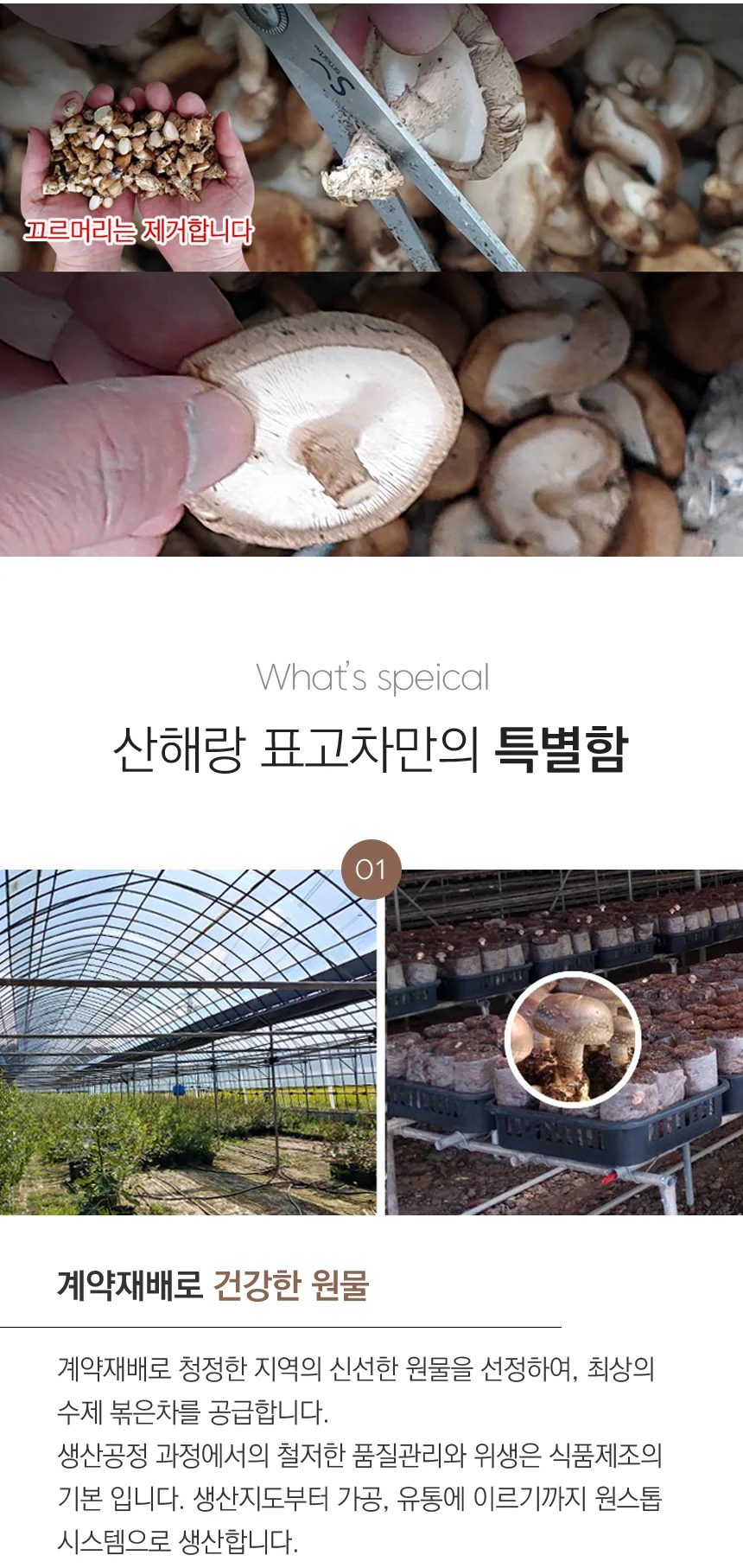 프리미엄 수제 볶은 표고버섯차100g(경기도 파주) 상세4