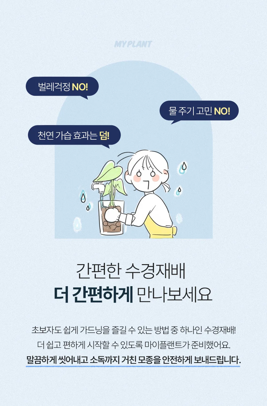 푸미라 (세척모종) 상세2