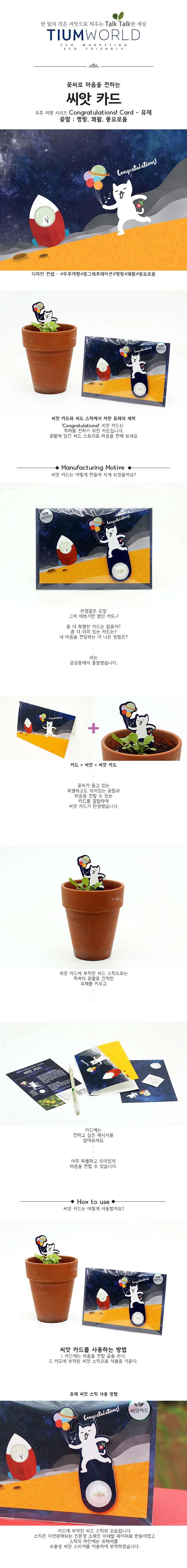 새싹키우기 관찰학습 우주여행 유채꽃 씨앗카드 상세2