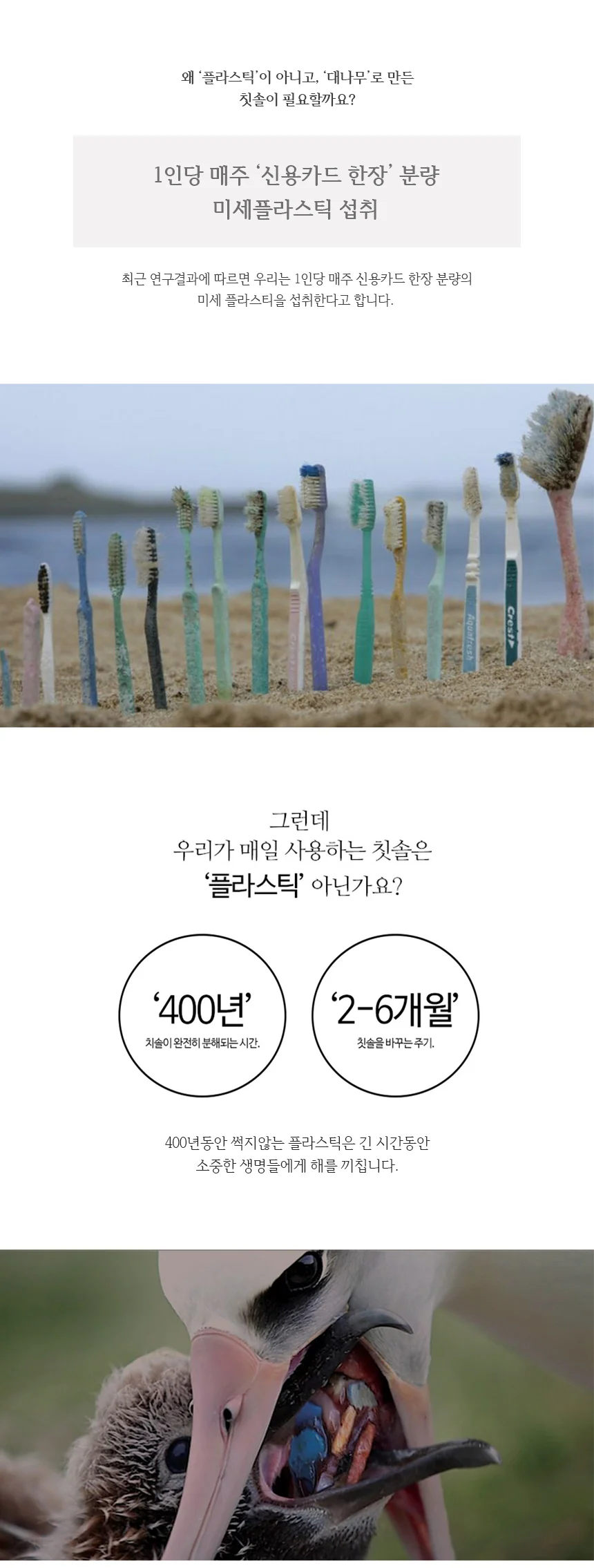 제로웨이스트 대나무 칫솔 미세모 각인 상세4