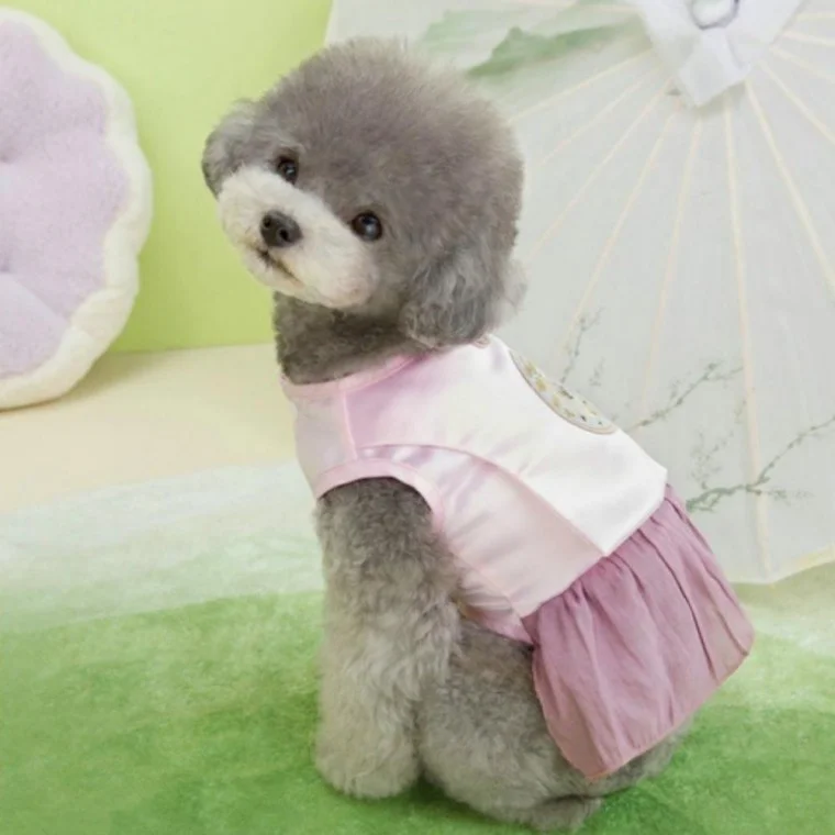 애견의류 한복 고양이 강아지 명절 원피스 드레스 애견 원피스 치마 설날