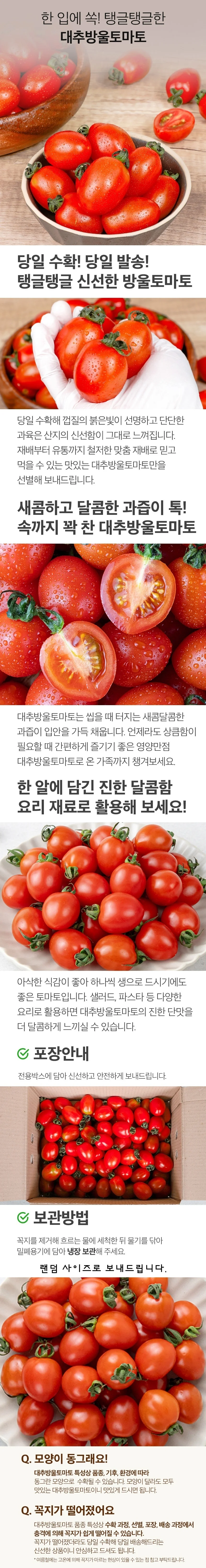 대추방울토마토 2kg 상세1