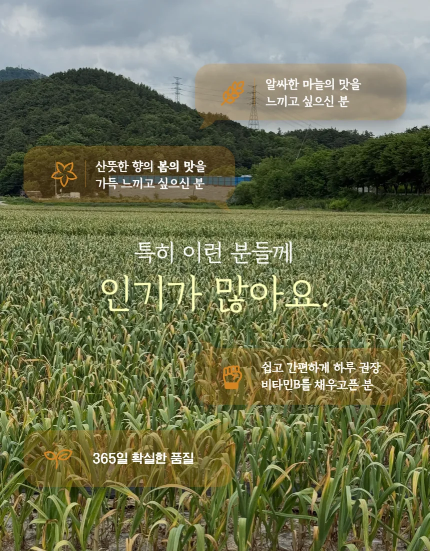 푸디픽 국내산 근본 깐마늘 대 1kg 상세4
