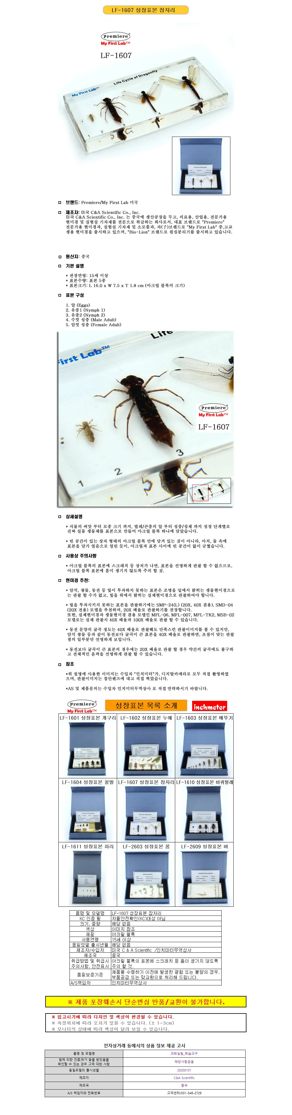 프리미어 LF-1607 성장표본 잠자리 상세1