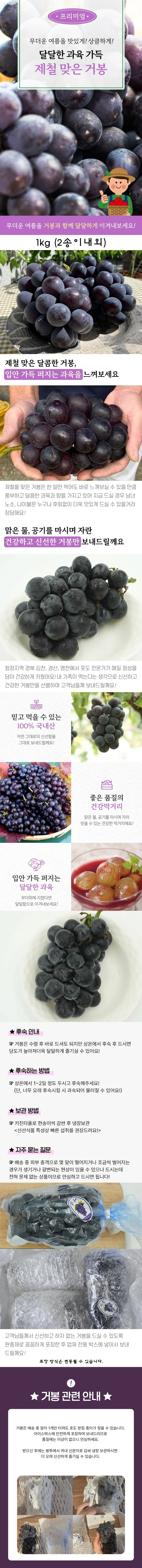 거봉 포도 1kg 상세1