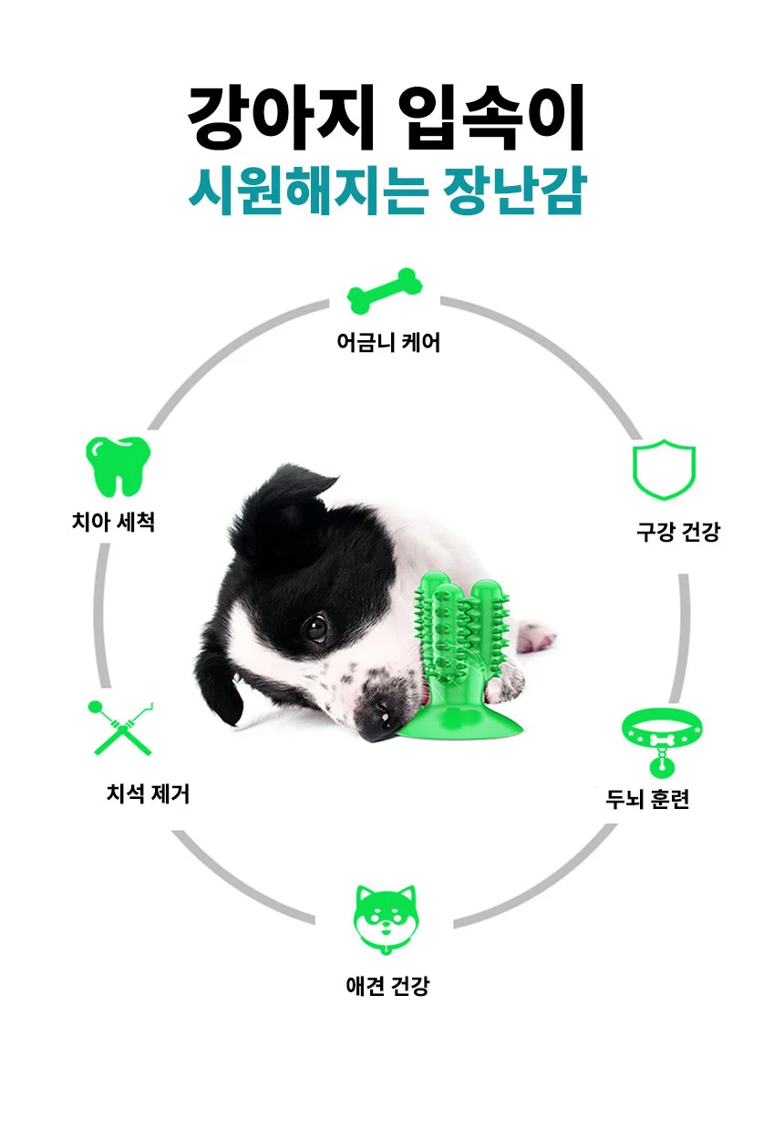 강아지 선인장 셀프 칫솔 양치 치석제거 장난감 상세2