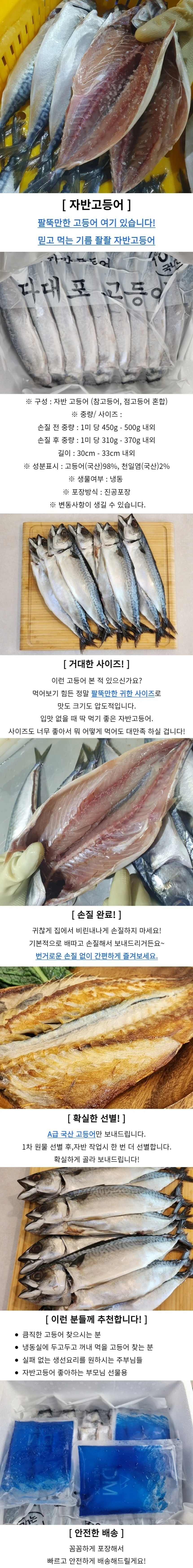 국내산 자반고등어 대 10미 손질고등어 상세1