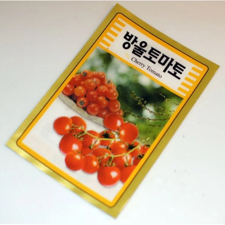 꽃씨 500 교재용 방울토마토