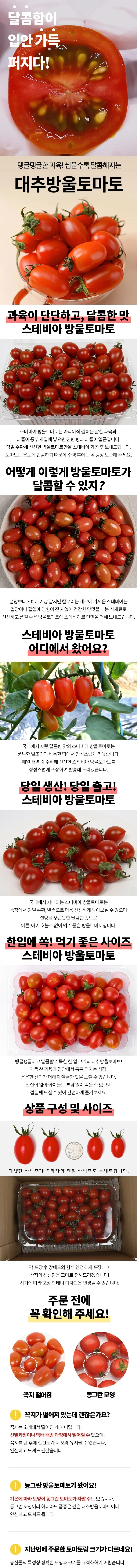 스테비아 대추방울토마토 2kg 상세1