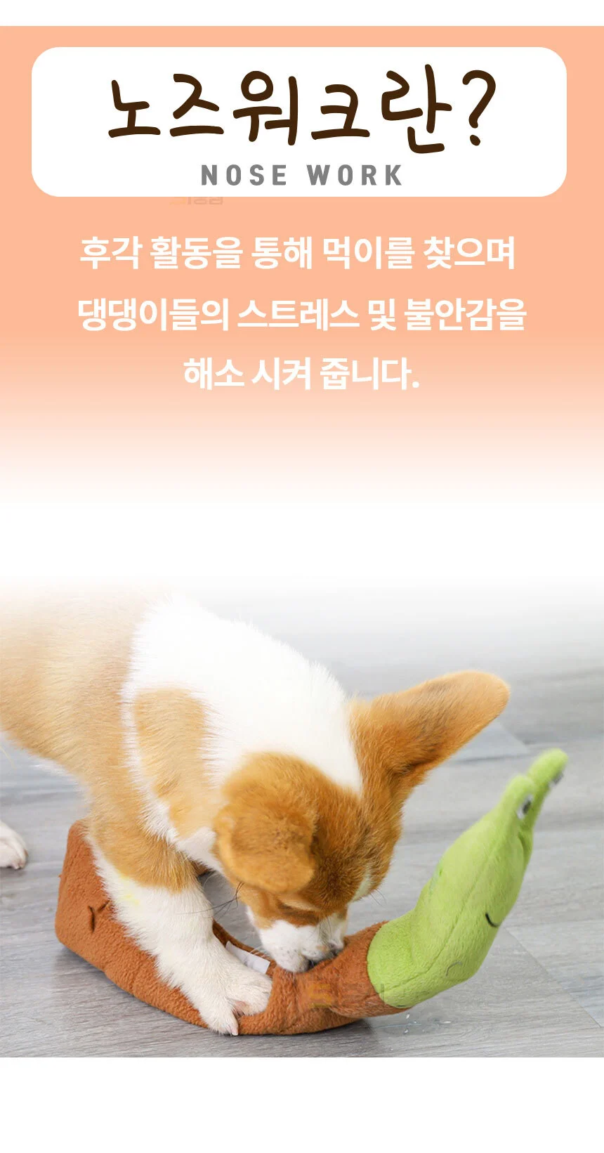 강아지 달팽이 노즈워크 간식찾기 장난감 PE 상세2