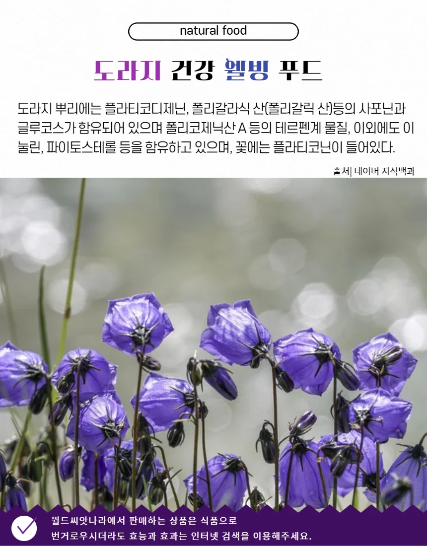 도라지분말 250g 국내산 상세3