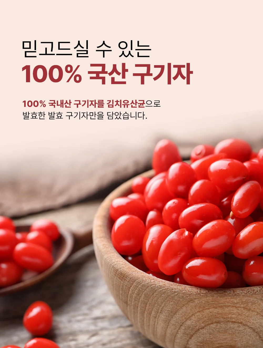 셀메이드 홍국발효구기자추출물정 1병 상세4
