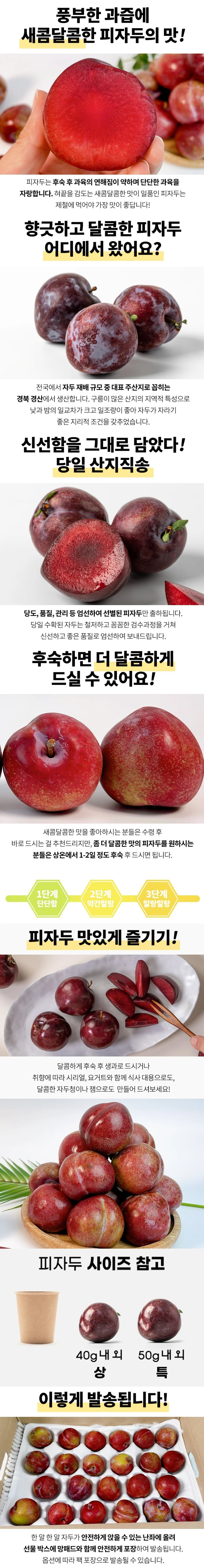 피자두 1kg 특 상세1