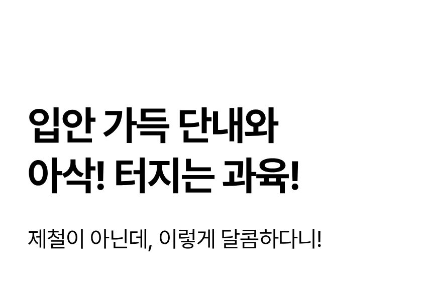성주참외 못난이참외 겨울참외 제철과일 상세4
