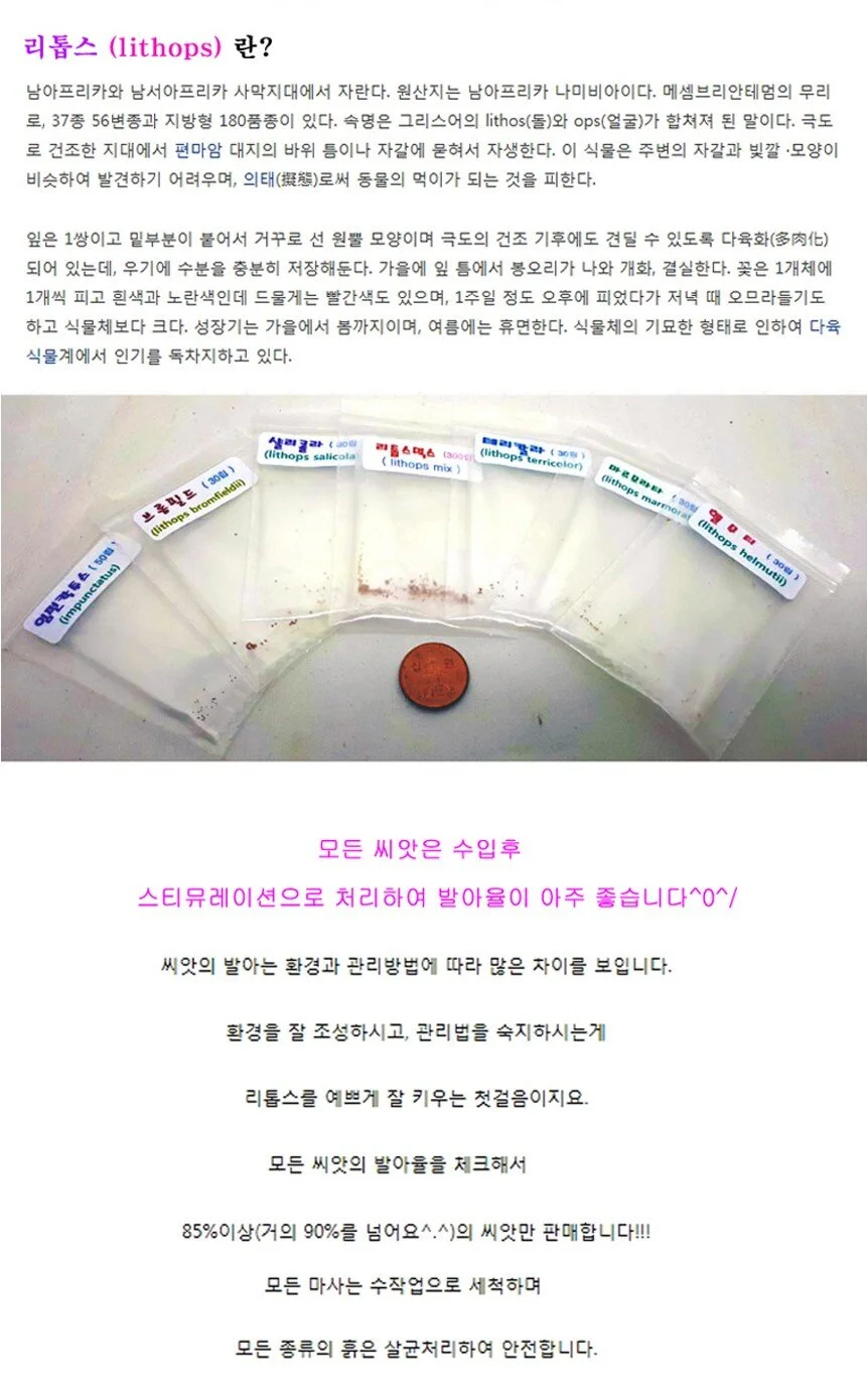 리톱스 씨앗 믹스 300립 다육이 씨앗 원예 식물 씨앗 280종 상세2
