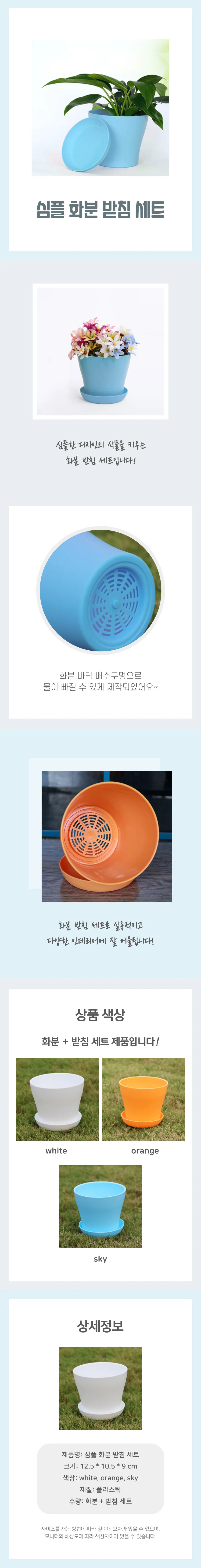 다육이 꽃 화분 상세4