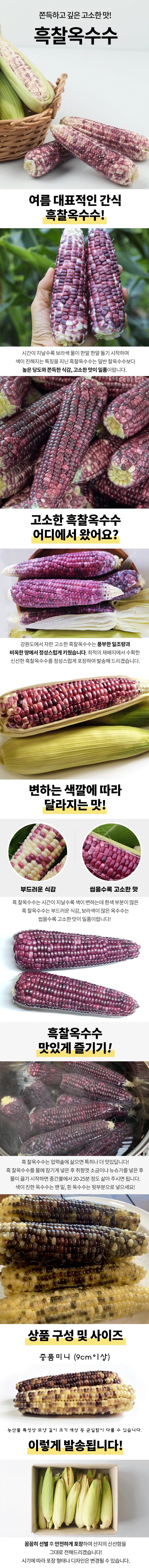 흑찰옥수수 중품 10개 상세1