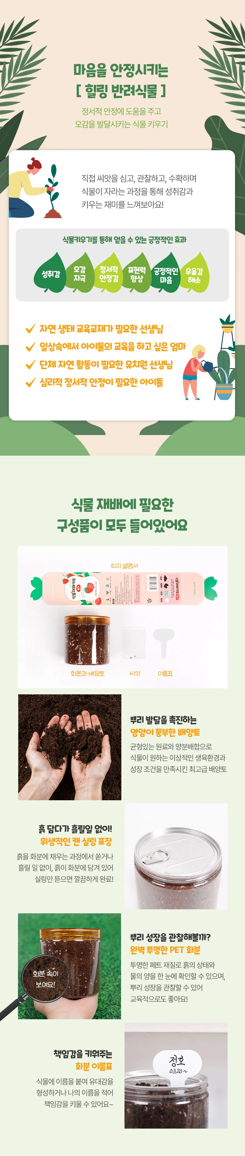 씨앗+화분+배양토 식물키우기키트 집에서딸기키우기 상세5