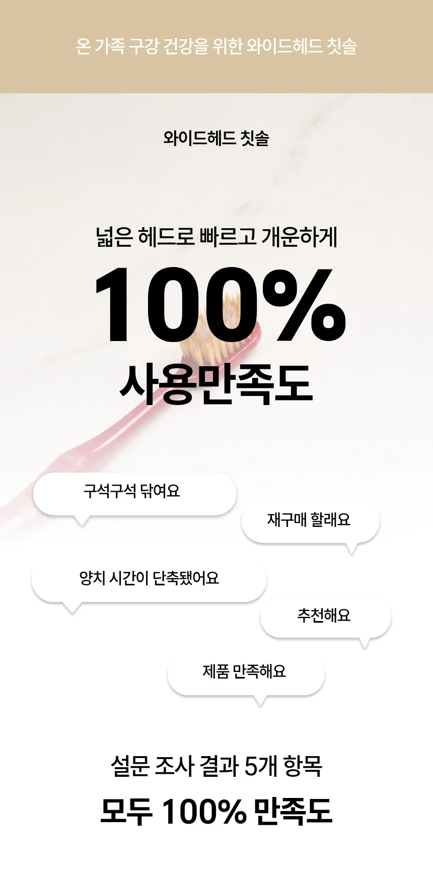 이지 와이드헤드 칫솔 12개입 어금니 틈새 2중 미세모 상세2