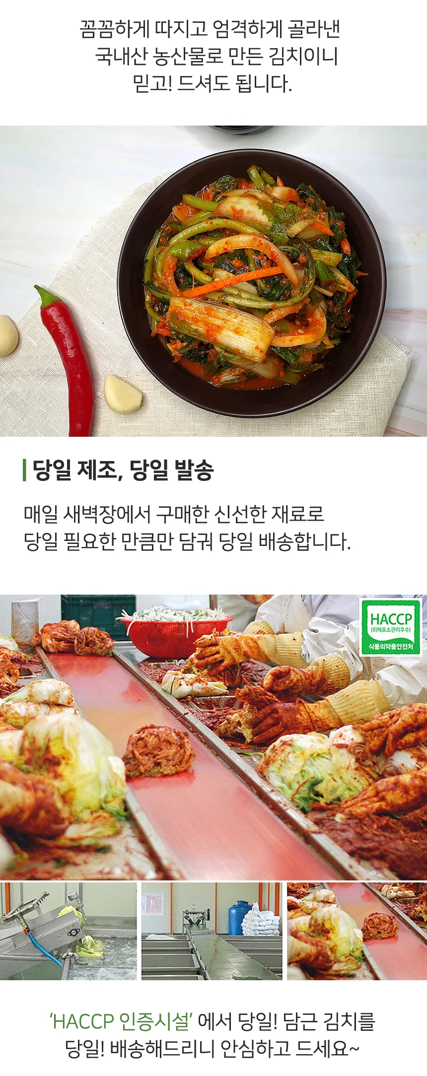 당일생산 전라도 얼갈이열무김치 1kg (100% 국산재료) 상세4