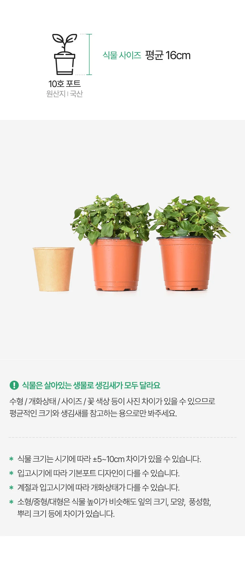 엑사쿰 (소형) 상세3