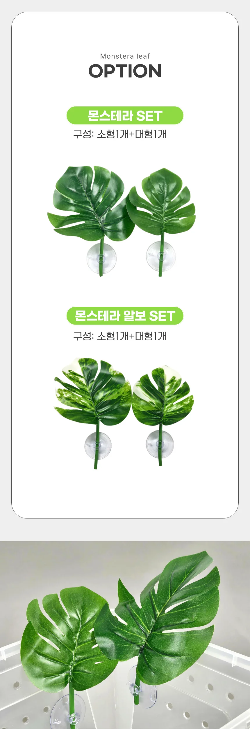 파충류 사육장 꾸미기 몬스테라 알보 인조 나뭇잎 2종 상세4