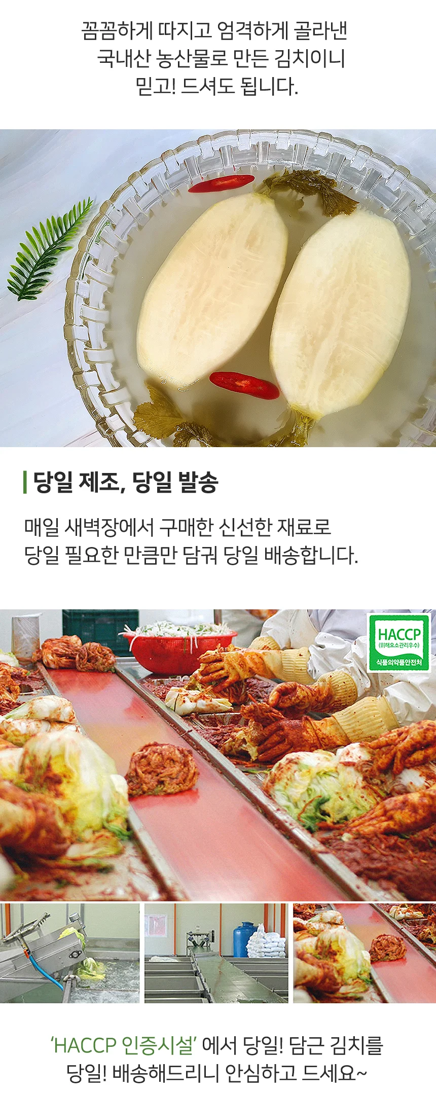 전라도 전통 당일제조 동치미 5kg (100% 국산재료) 상세4
