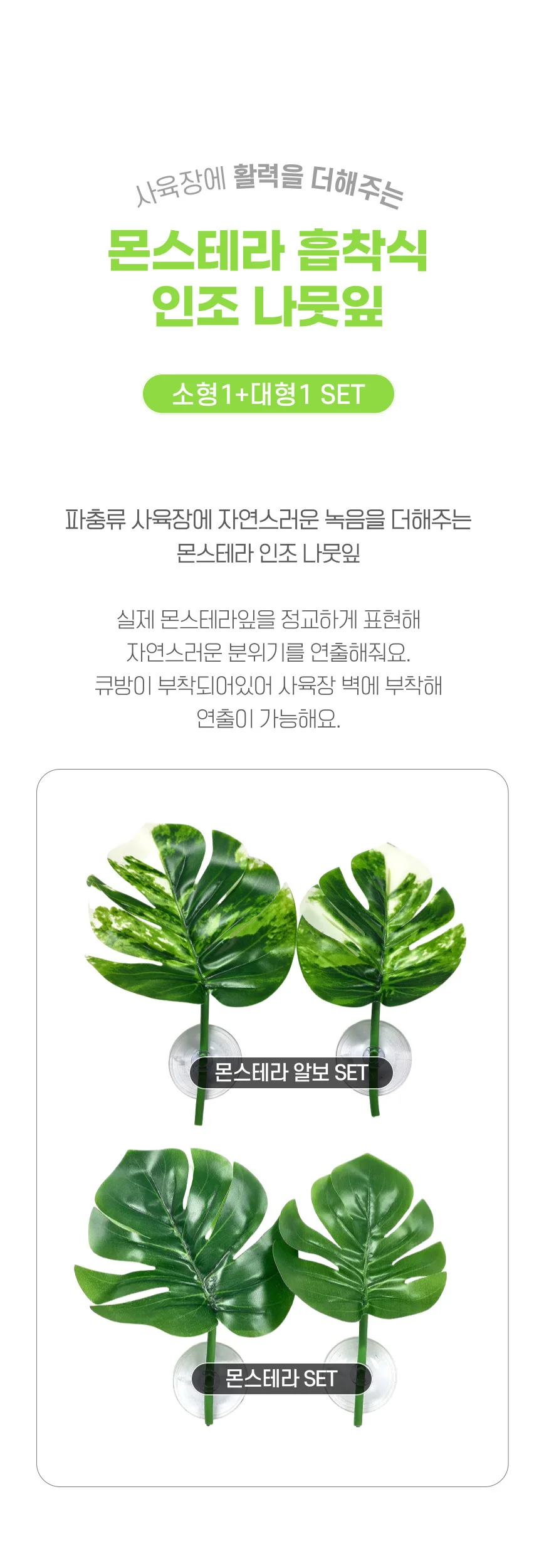 파충류 사육장 꾸미기 몬스테라 알보 인조 나뭇잎 2종 상세1