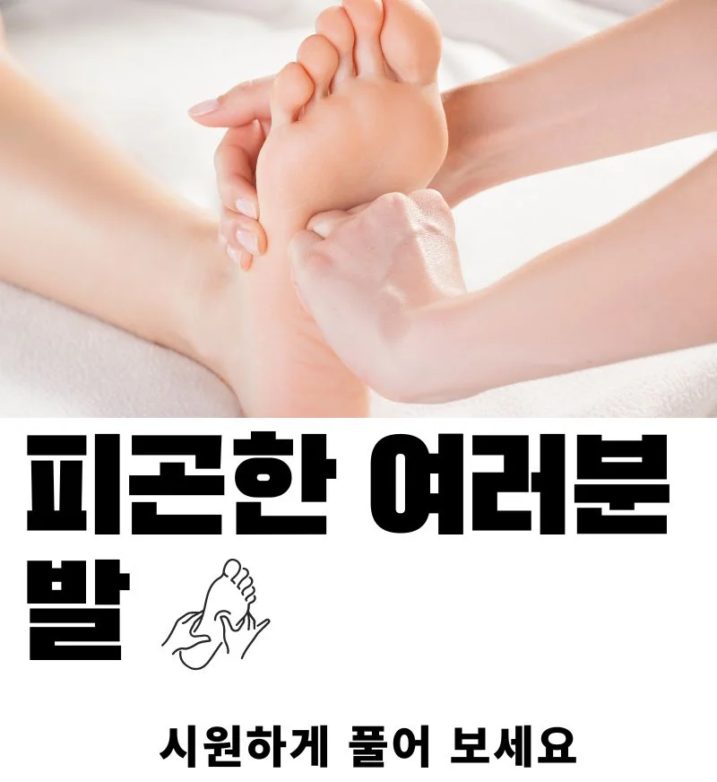 위즈템 풋롤러 상세3