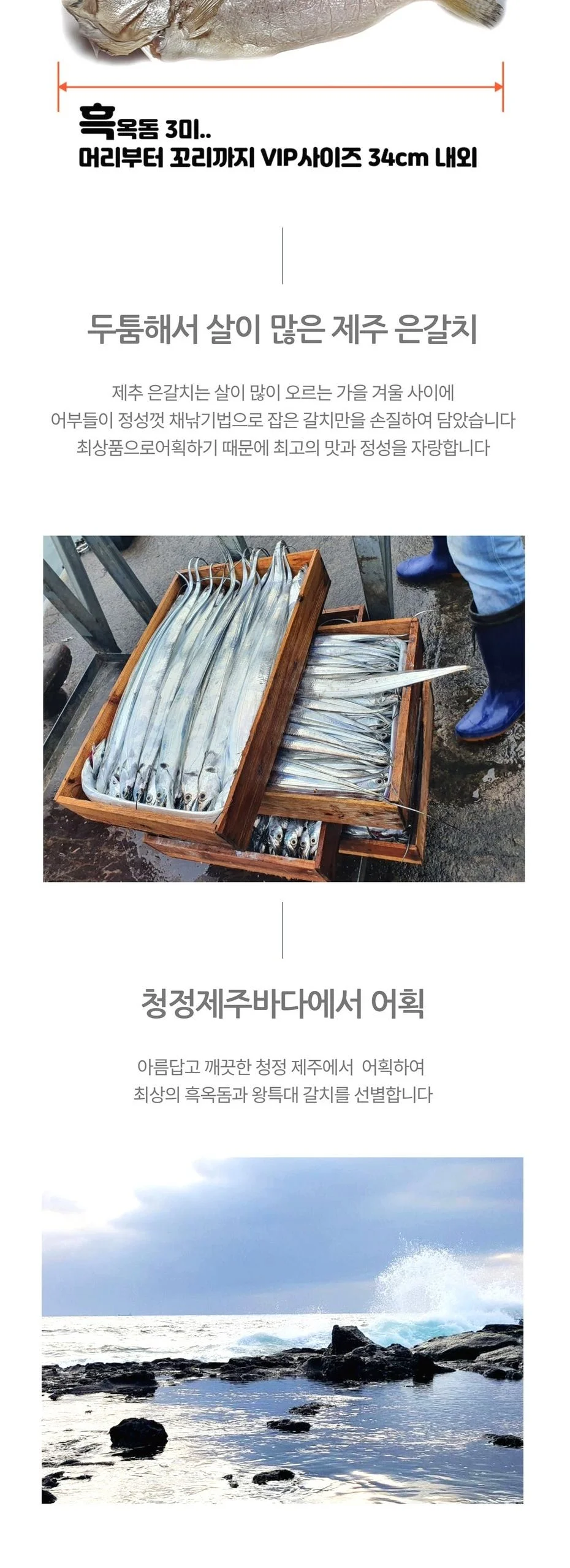 VDG 제주 흑옥돔3미+왕특대갈치 2팩세트 기본포장 상세3