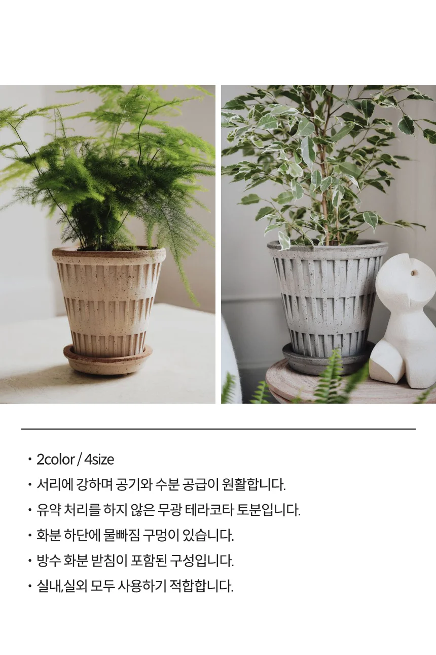 베르그 포터 판테온 화분 상세5