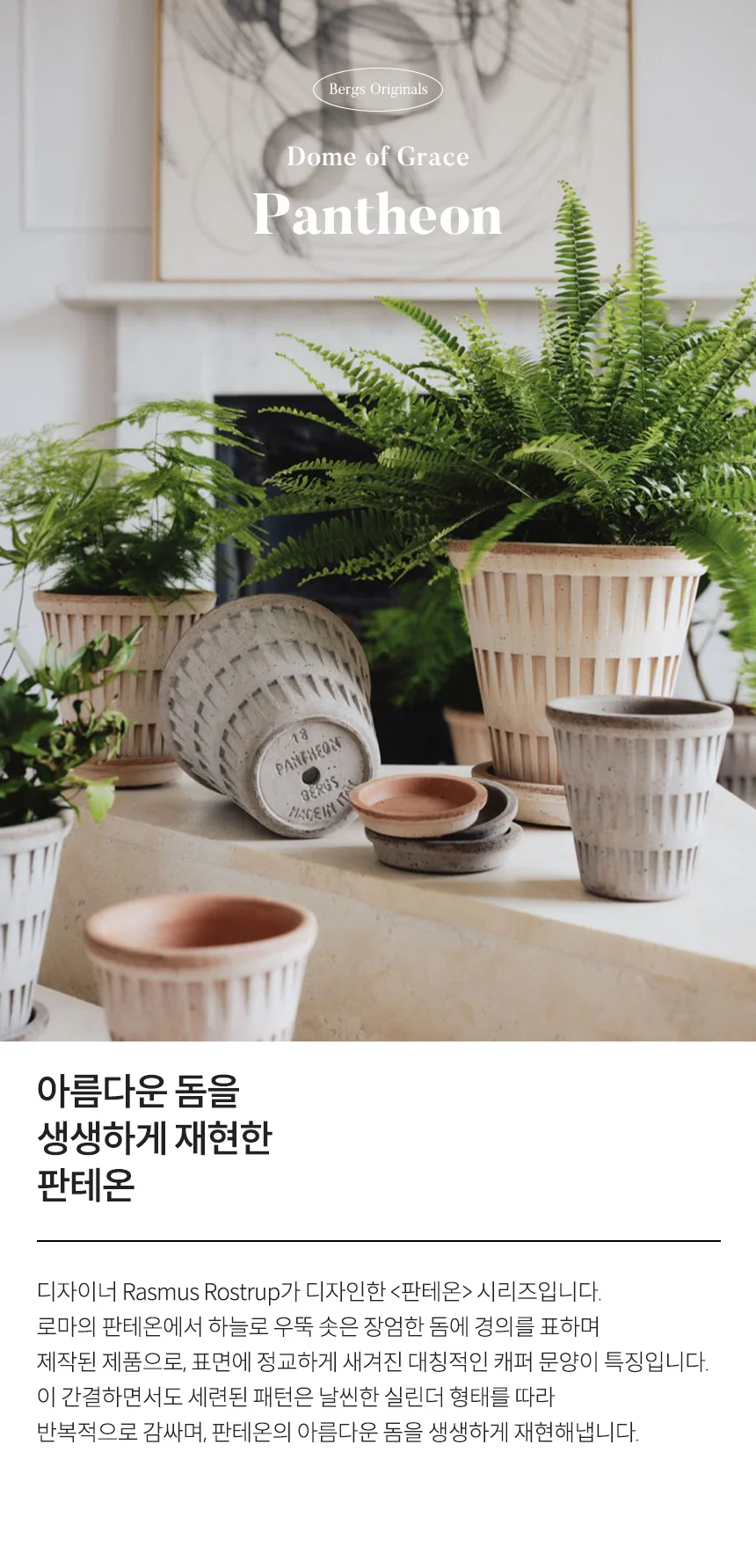 베르그 포터 판테온 화분 상세4