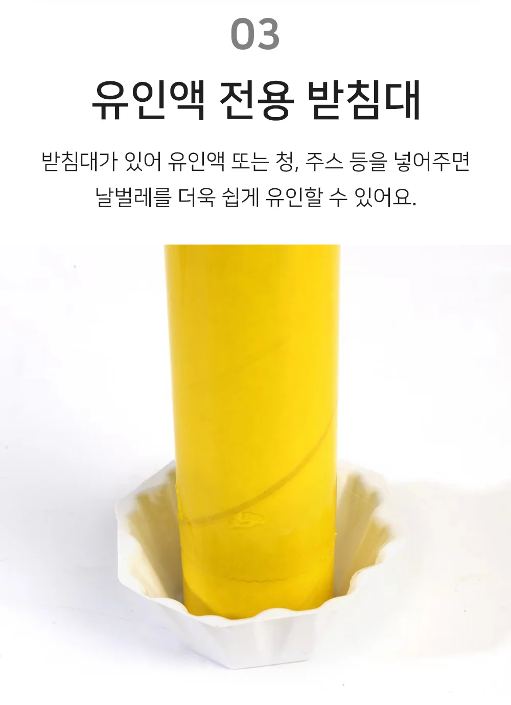 혀니추천 플라이스틱 모기끈끈이 상세5