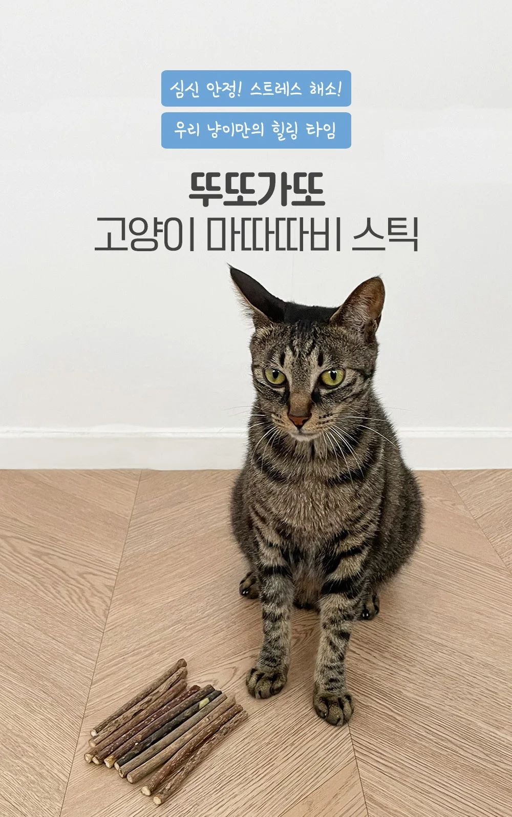 뚜또가또 고양이 마따따비 스틱 10개입 상세2