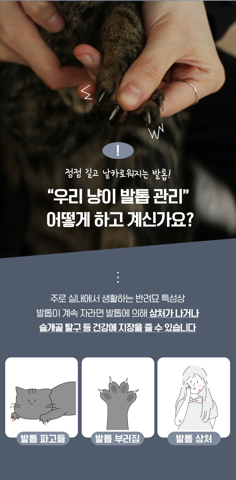 뚜또가또 고양이 발톱깎이 세트/안전/혈관보호 상세4
