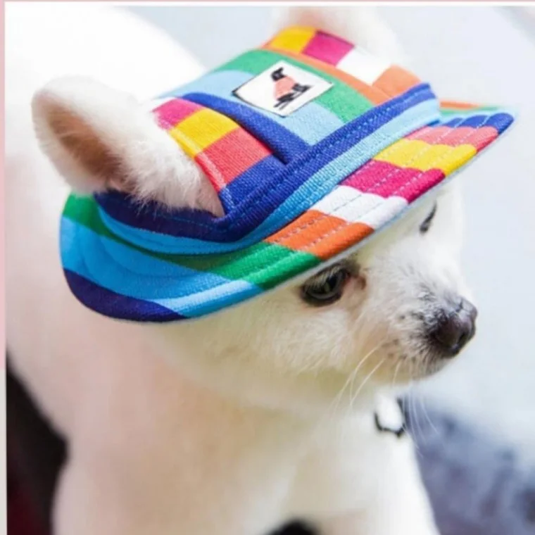 외출용 산책 썬캡 모자 자외선차단모자 산책 강아지 애완견