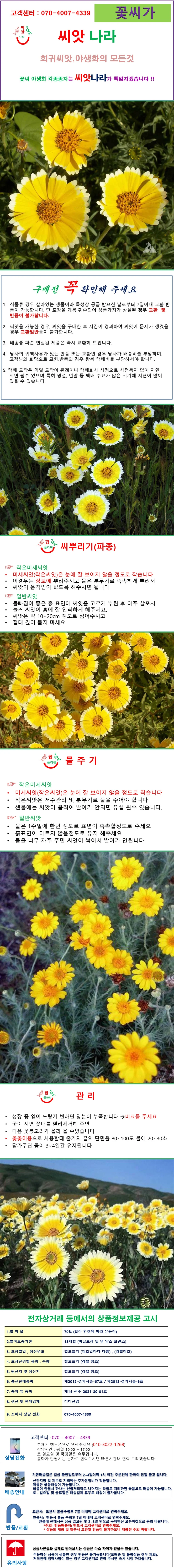 티디팁스 씨앗 10립 상세1