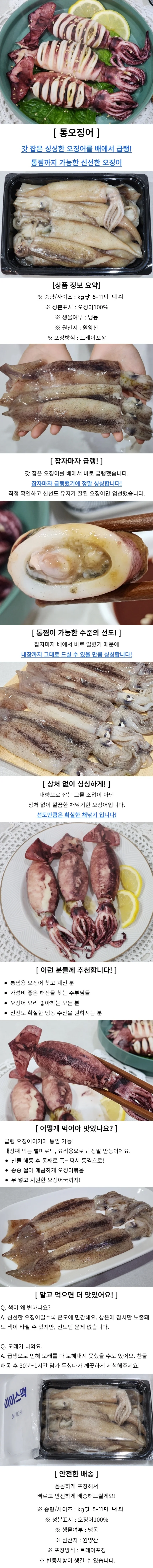 냉동 오징어 3kg 상세1