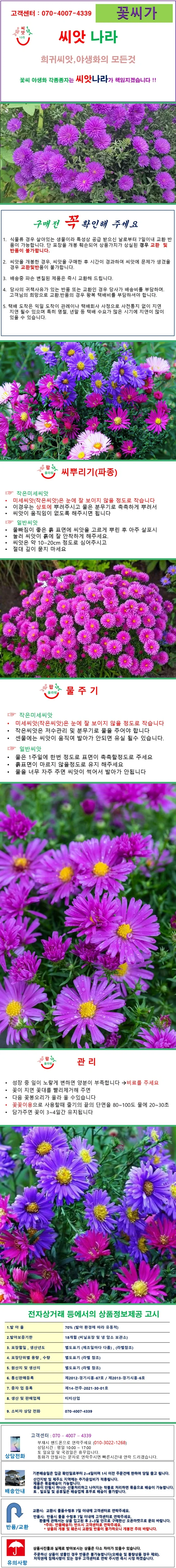 뉴잉글랜드아스타 혼합 씨앗20립 상세1
