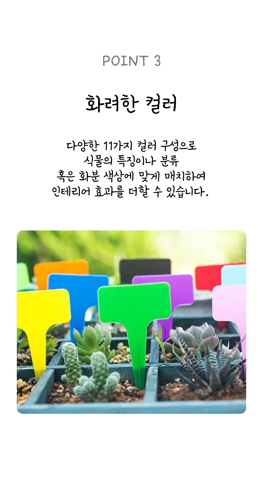 네임택 화분이름표 팻말 10P 화분꽂이 미니팻말 미니텃밭 상세4