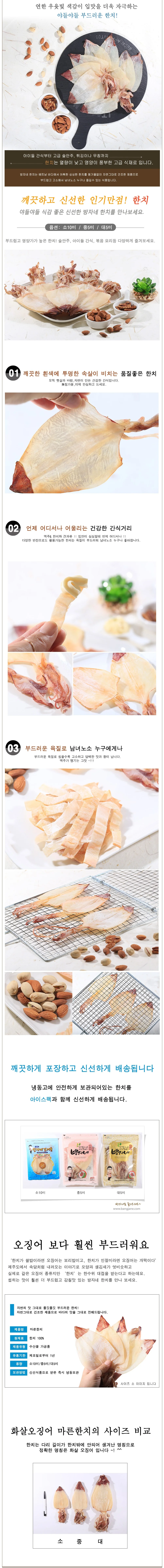 VB 한치 오징어보다 부드러운 한치(중)5마리 상세2